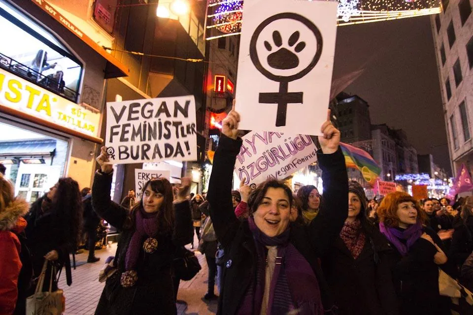 8 Mart Feminist Gece Yürüyüşü / 2015 / Foto: Bilinmiyor