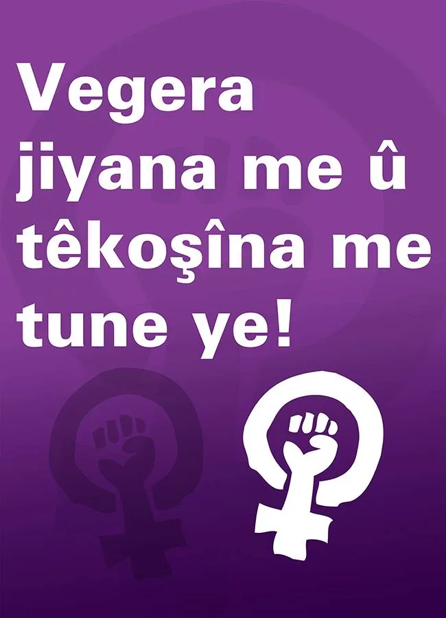 8 Mart Feminist Gece Yürüyüşü / 2015 / Fotobloklar