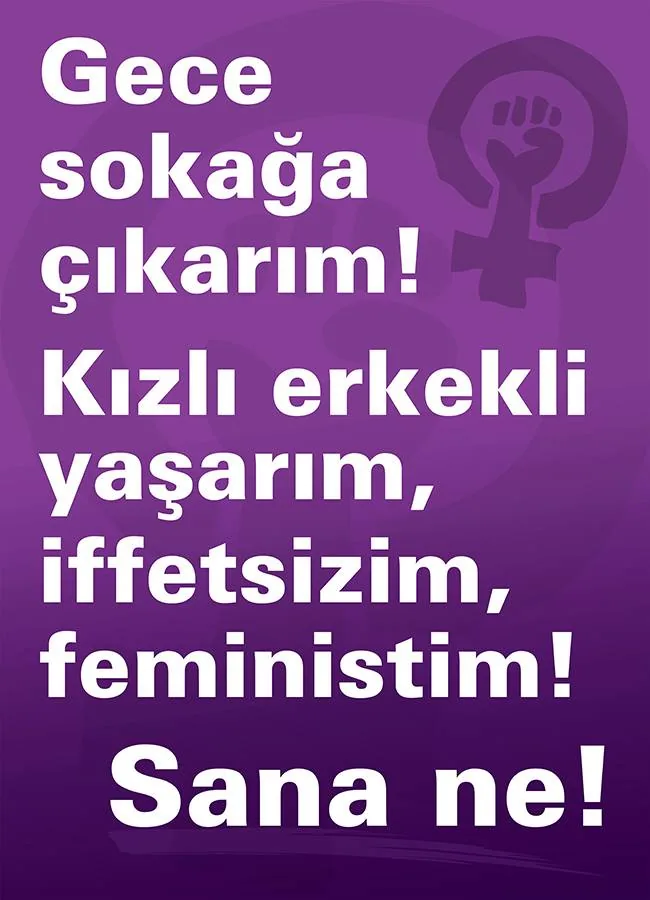 8 Mart Feminist Gece Yürüyüşü / 2015 / Fotobloklar