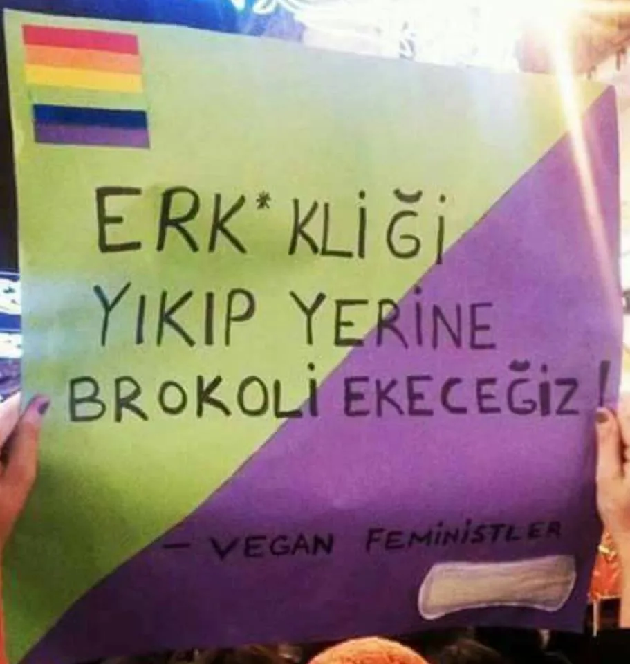 8 Mart Feminist Gece Yürüyüşü / 2017 / Foto: Bilinmiyor