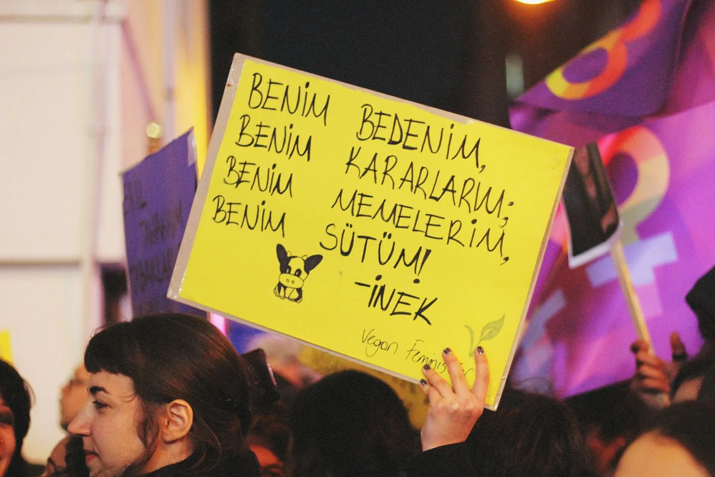 8 Mart Feminist Gece Yürüyüşü / 2017 / Foto: Bilinmiyor
