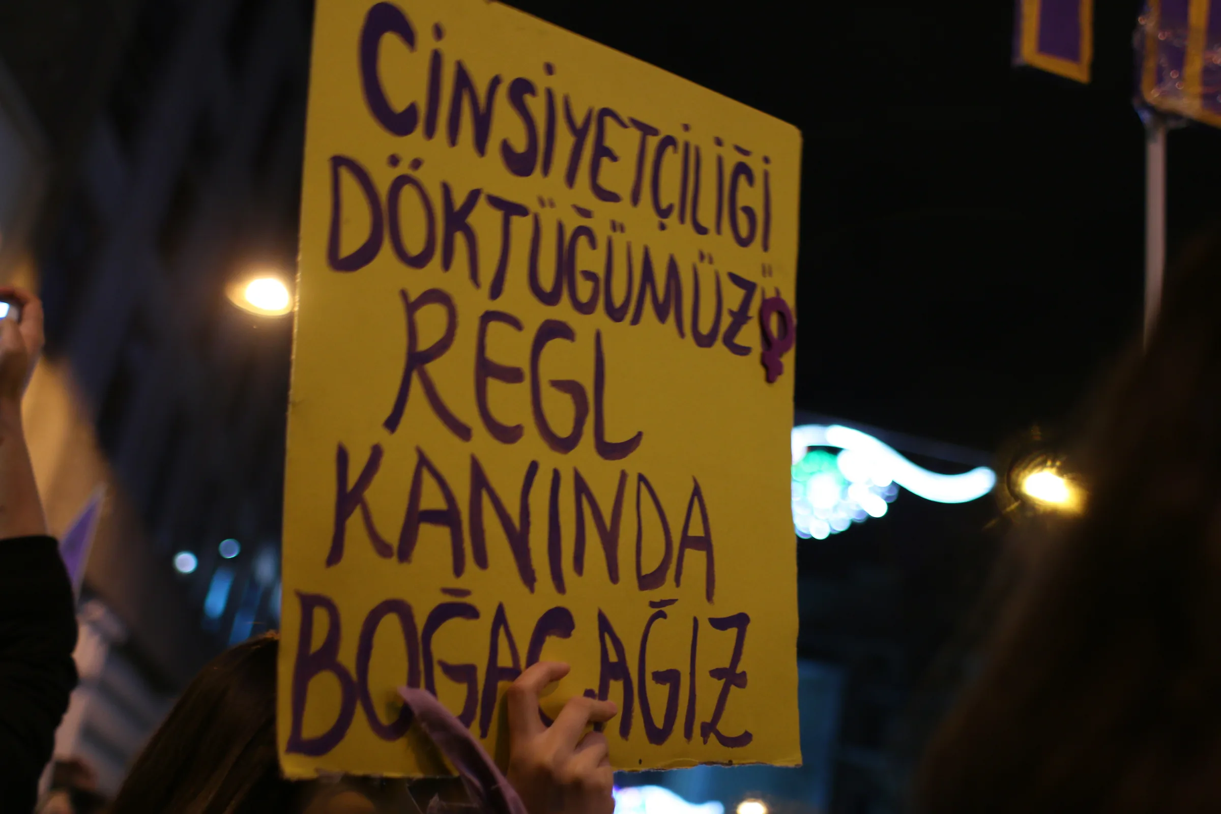 8 Mart Feminist Gece Yürüyüşü / 2017 / Foto: Bilinmiyor