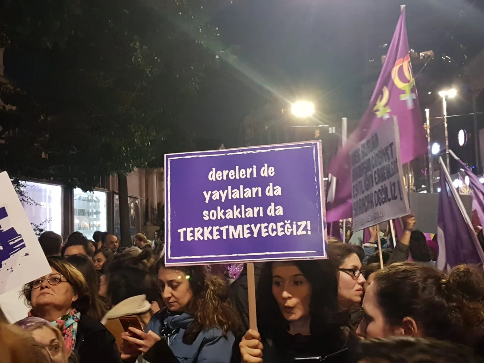 8 Mart Feminist Gece Yürüyüşü / 2019 / Foto: Didem Mahsunlar